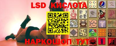 ПСИЛОЦИБИНОВЫЕ ГРИБЫ Будённовск