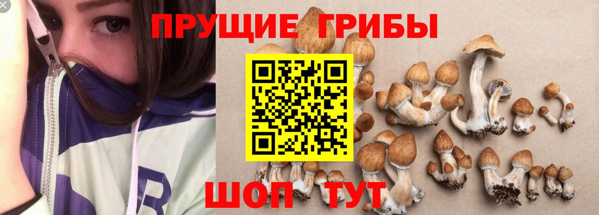 Галлюциногенные грибы мухоморы  Вход с VPN  Острогожск 